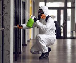 Environmental Consulting for Mold Prevention in Denmark, WI